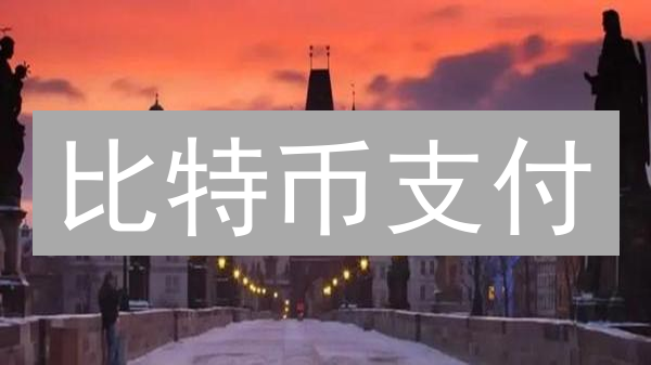 比特币支付：零售、慈善与去中心化金融的未来