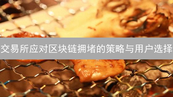 交易所应对区块链拥堵的策略与用户选择