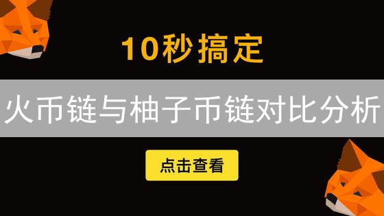 火币链与柚子币链对比分析：技术、共识与治理差异
