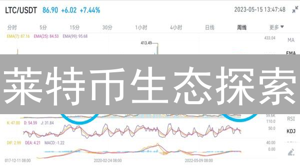 莱特币生态探索：技术、应用与社区发展分析