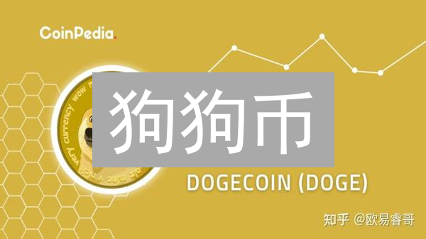 狗狗币：迷因文化下的货币狂想与投资风险分析