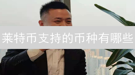 莱特币支持的币种有哪些？交易方式与生态互联解析