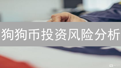 狗狗币投资风险分析：波动性、应用场景及中心化问题详解