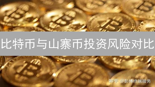 比特币与山寨币投资风险对比：数字货币投资策略分析