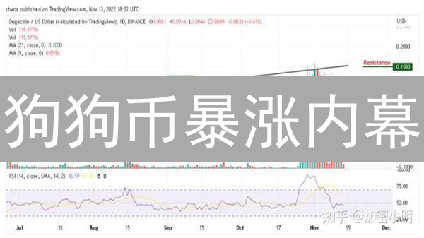 狗狗币暴涨内幕：社区狂欢还是名人陷阱？速看！