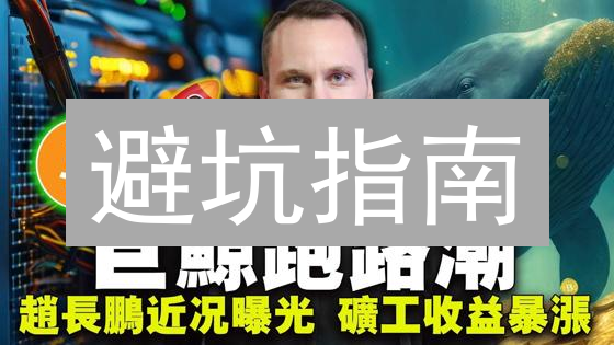 避坑指南：新手必读的比特币手续费优化策略！