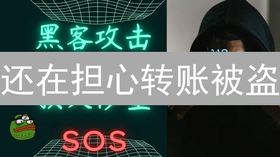 还在担心转账被盗？币圈钱包安全指南，新手必看！