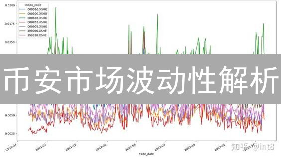 币安市场波动性解析：2024年如何应对加密货币风险？