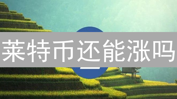 莱特币还能涨吗？2024年投资 LTC，你需要知道这些！