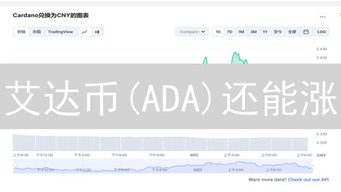 艾达币(ADA)还能涨？揭秘Staking收益与长期持有策略！