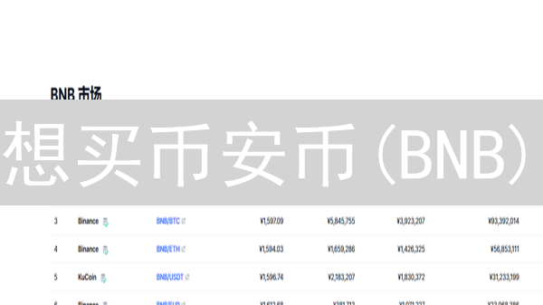 想买币安币(BNB)？最全购买指南，小白也能轻松上手！
