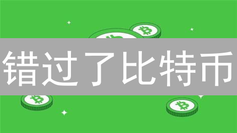 错过了比特币？别慌！BNB币投资指南：抓住下一个财富风口！