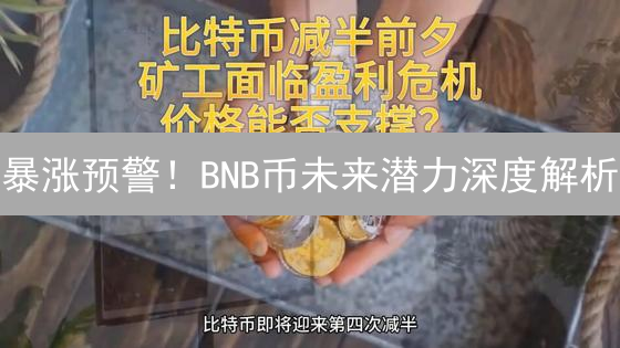暴涨预警！BNB币未来潜力深度解析：现在入场，掘金下一个十年！