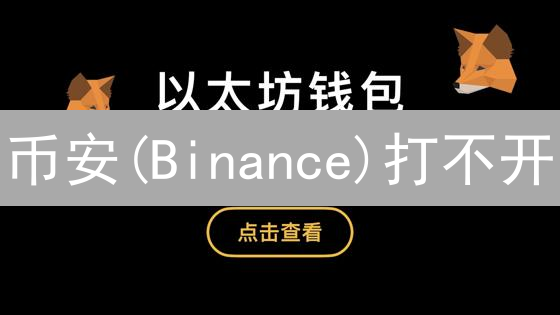 币安(Binance)打不开？专家教你8招快速恢复！