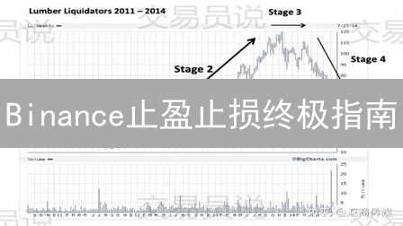 Binance止盈止损终极指南：策略对比，实战案例，风险管理，助你稳操胜券！