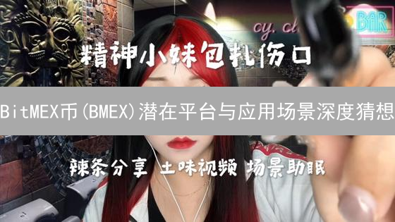 BitMEX币(BMEX)潜在平台与应用场景深度猜想