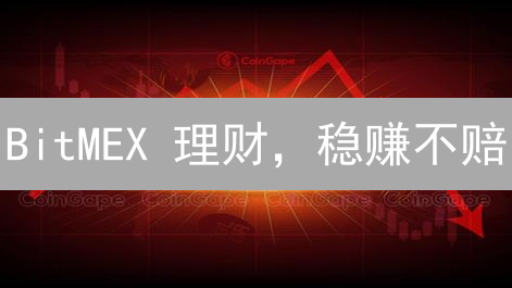 BitMEX 理财，稳赚不赔？揭秘你没看到的风险！