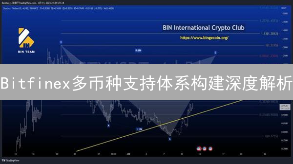 Bitfinex多币种支持体系构建深度解析：技术架构与安全策略