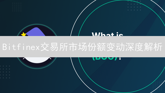Bitfinex交易所市场份额变动深度解析：现状与未来展望