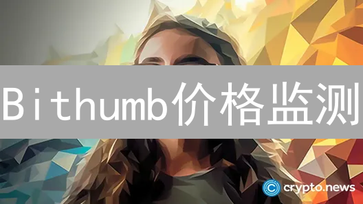 Bithumb价格监测：抓住暴涨机会？新手必看！