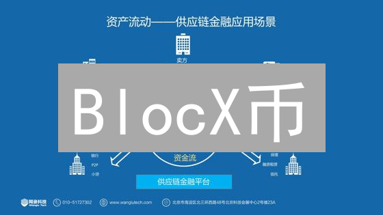 BlocX币：去中心化生态系统的桥梁与未来展望