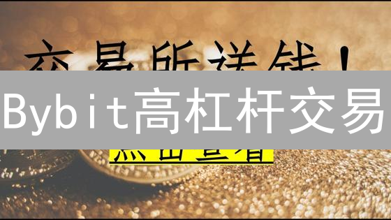 Bybit高杠杆交易：掌握这6招，稳健盈利！