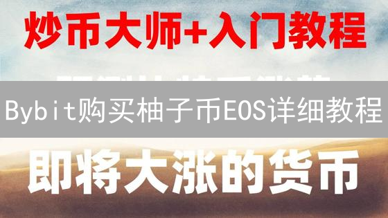 Bybit购买柚子币EOS详细教程：注册、KYC认证与交易指南