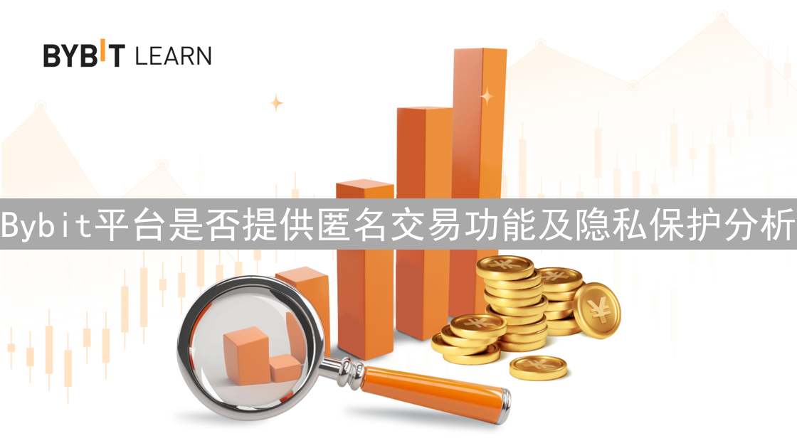 Bybit平台是否提供匿名交易功能及隐私保护分析