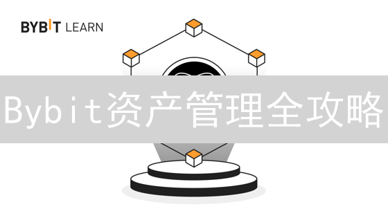 Bybit资产管理全攻略：高效交易，安全无忧！