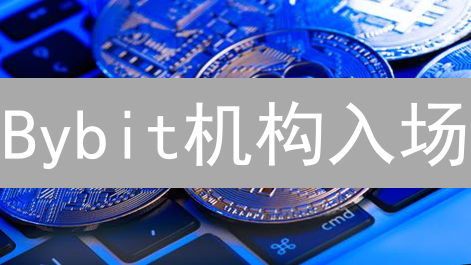 Bybit机构入场：加密货币市场的成熟信号？深度解析机构策略与未来