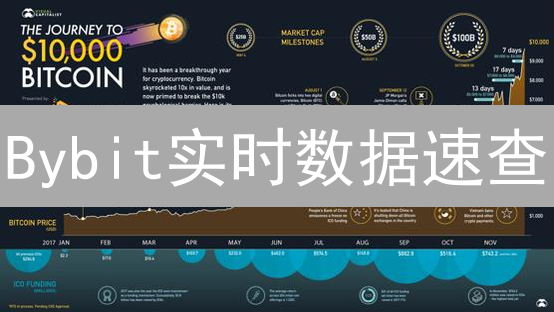 Bybit实时数据速查：玩转合约，交易更胜一筹？