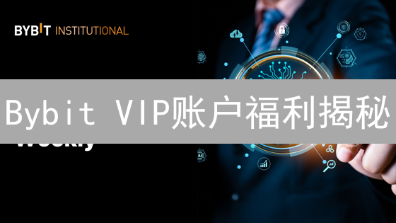 Bybit VIP账户福利揭秘：低手续费助你掘金加密市场？
