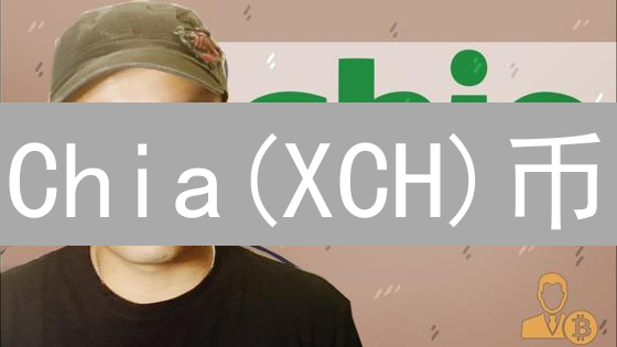 Chia(XCH)币：新型加密货币，空间与时间证明的结合