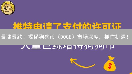 暴涨暴跌！揭秘狗狗币（DOGE）市场深度，抓住机遇！