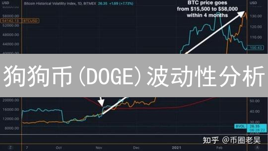 狗狗币(DOGE)波动性分析：交易策略与风险应对！