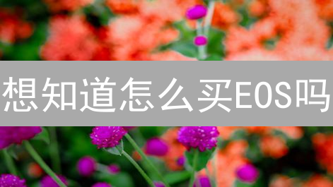 想知道怎么买EOS吗？新手MEXC交易所购买EOS攻略，速看！