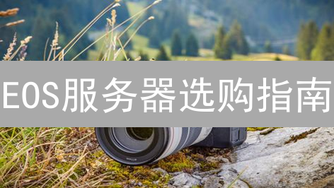 EOS服务器选购指南：高性能节点，掘金下一波浪潮？