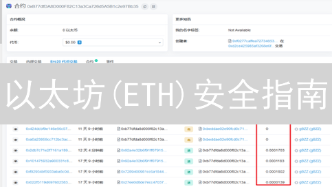 以太坊(ETH)安全指南：新手避坑必看！别让你的币丢了！