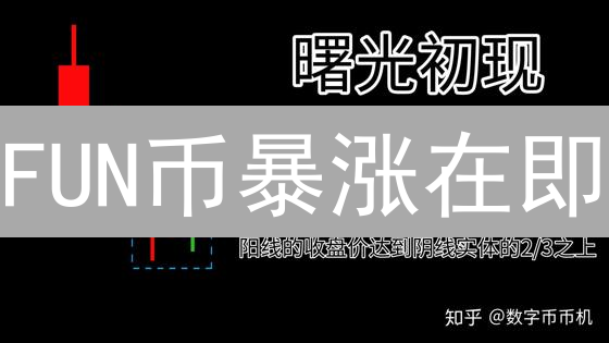 FUN币暴涨在即？2024年最佳买入时机全攻略！