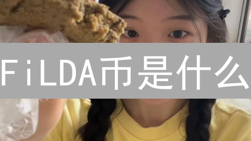 FiLDA币是什么？DeFi领域的新星及其应用场景解析