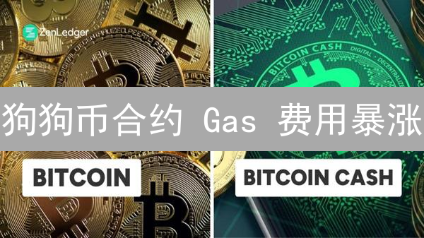 狗狗币合约 Gas 费用暴涨？真相竟然是...