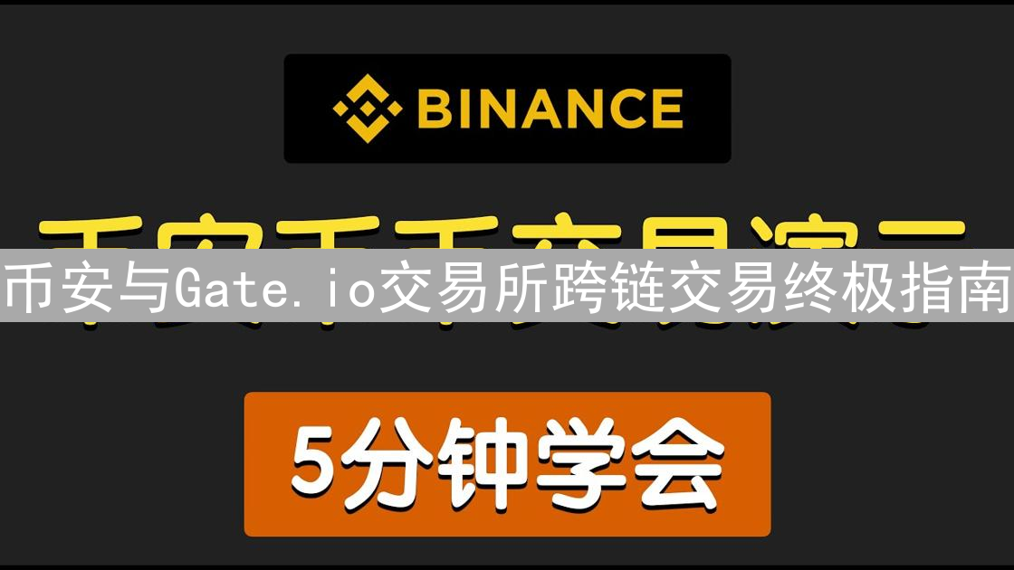 币安与Gate.io交易所跨链交易终极指南：操作步骤详解