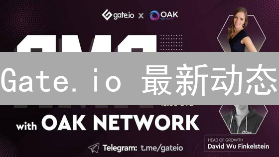 Gate.io 最新动态：交易对、GT、IEO、GateChain全解读？