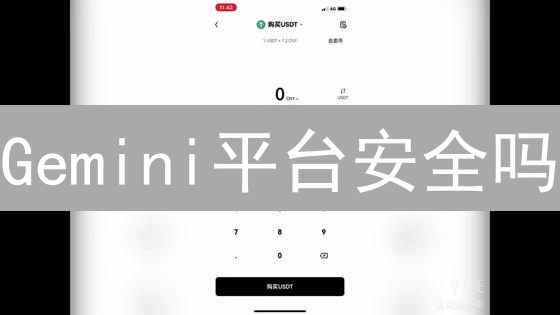 Gemini平台安全吗？链上资产存储深度解析，看完你就明白了！