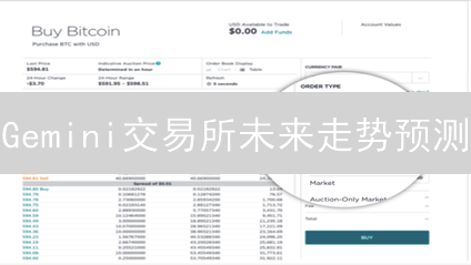Gemini交易所未来走势预测：合规性、创新与市场机遇？