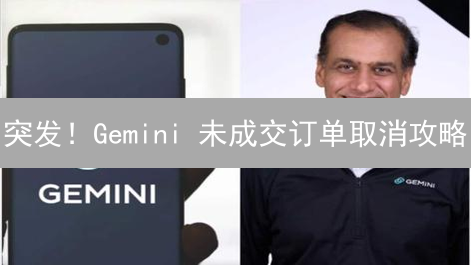 突发！Gemini 未成交订单取消攻略：手慢无！