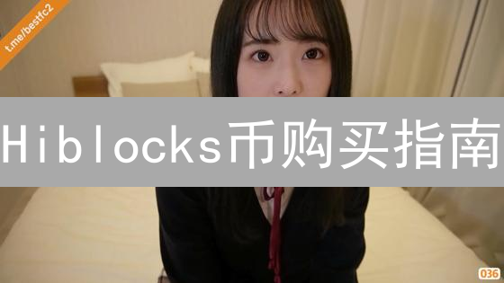 Hiblocks币购买指南：安全便捷参与HIBS生态