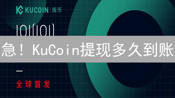 急！KuCoin提现多久到账？避坑指南来了！