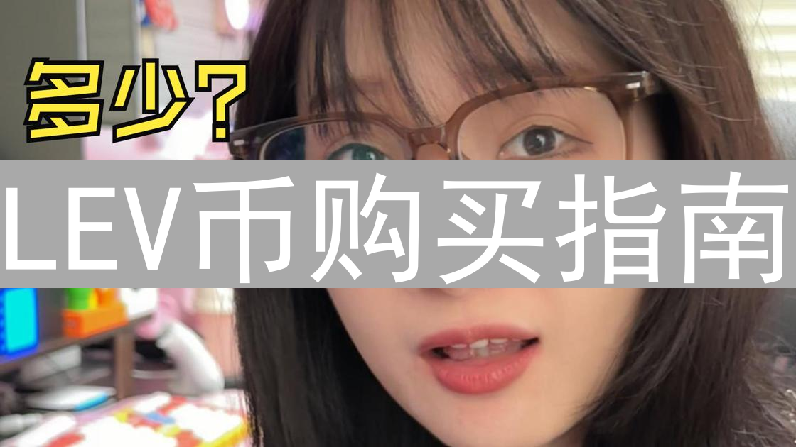 LEV币购买指南：新手入门与投资策略深度解析