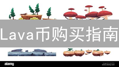 Lava币购买指南：新手入门详细步骤与注意事项